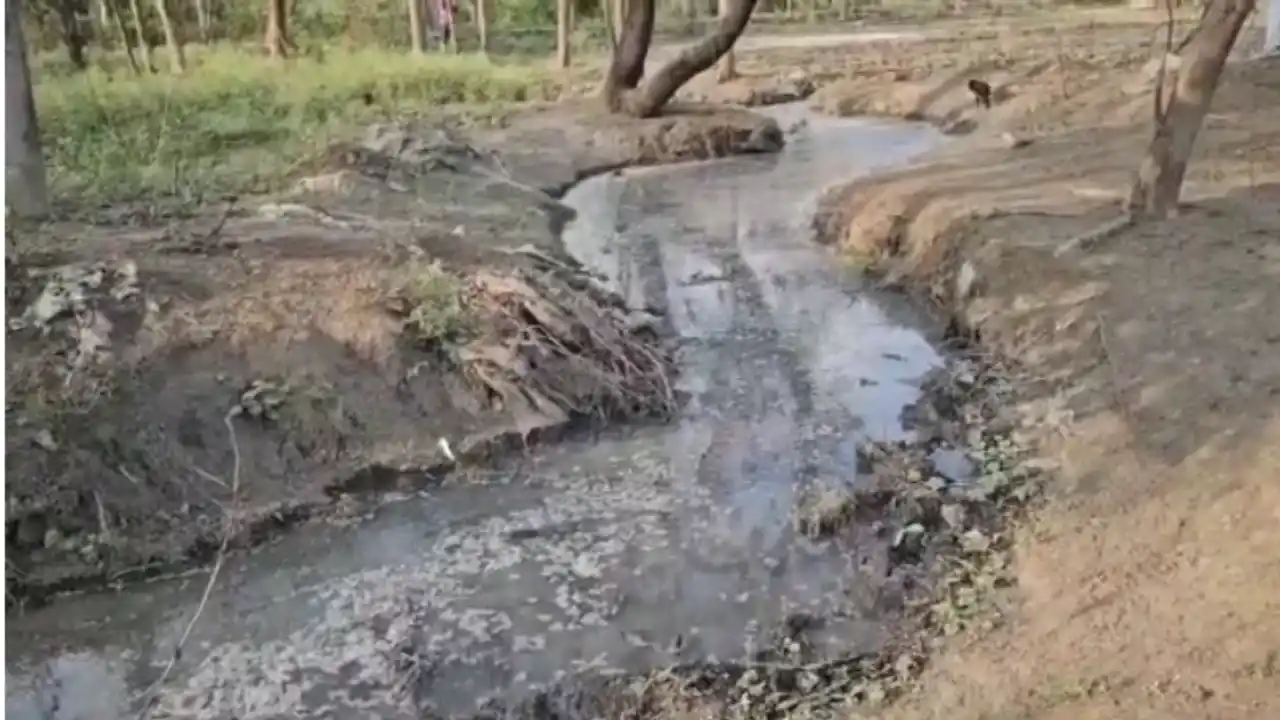 Bilaspur