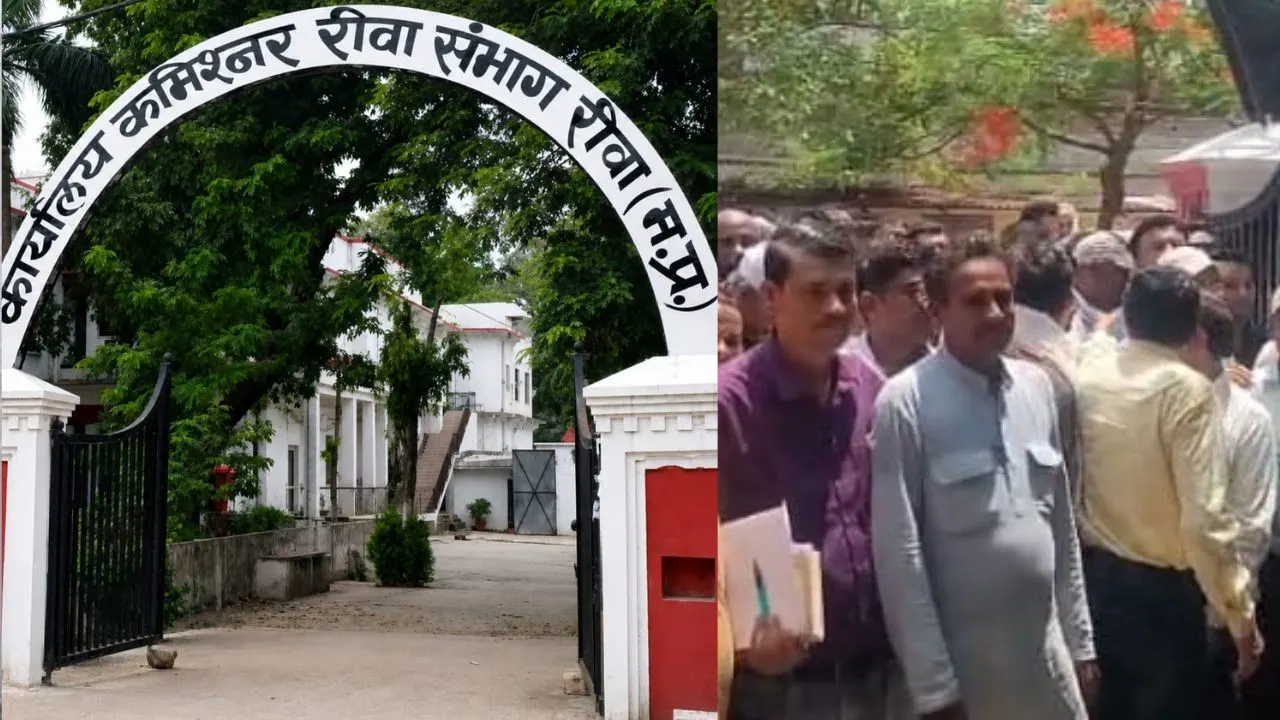 Employees Resent Collector's Strictness