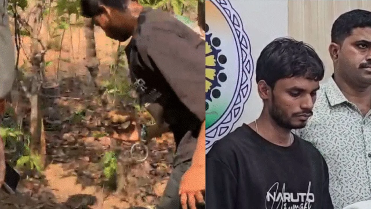 Female Lawyer's Accused Lover Arrested