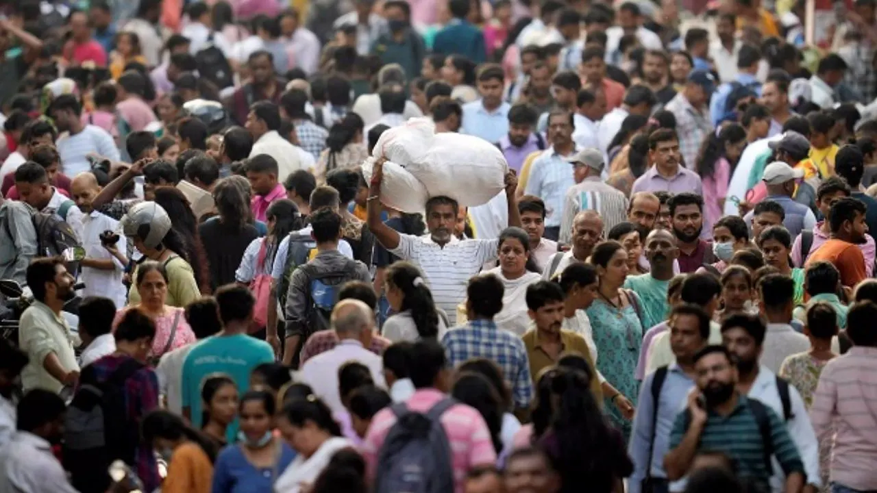 Census: Illustrative Image