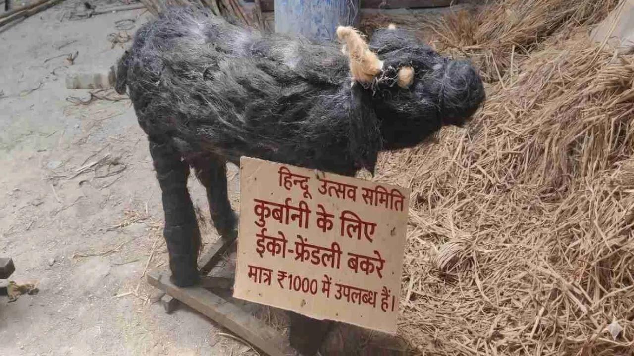 Eco-friendly goats