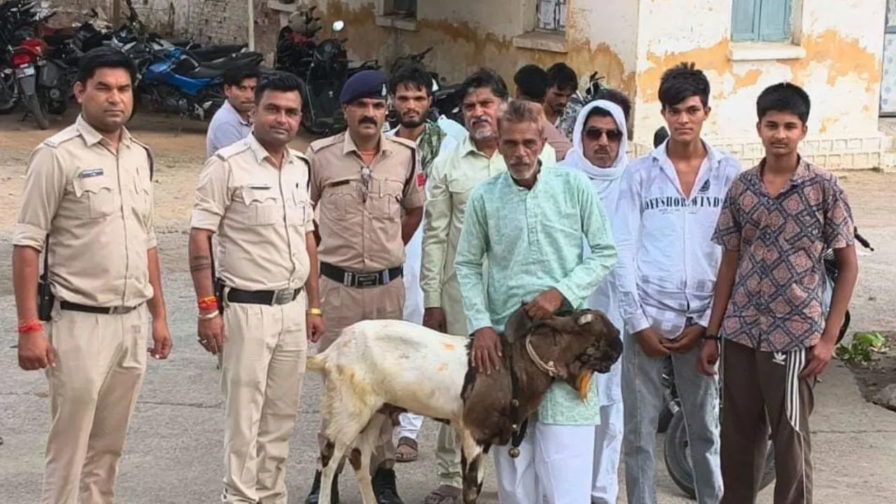 Stolen goat recovered