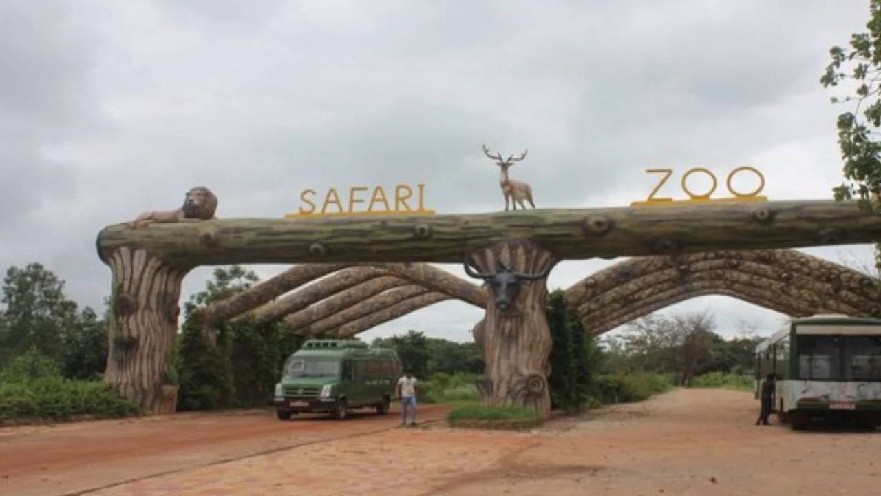 Jungle Safari Nandanvan Zoo