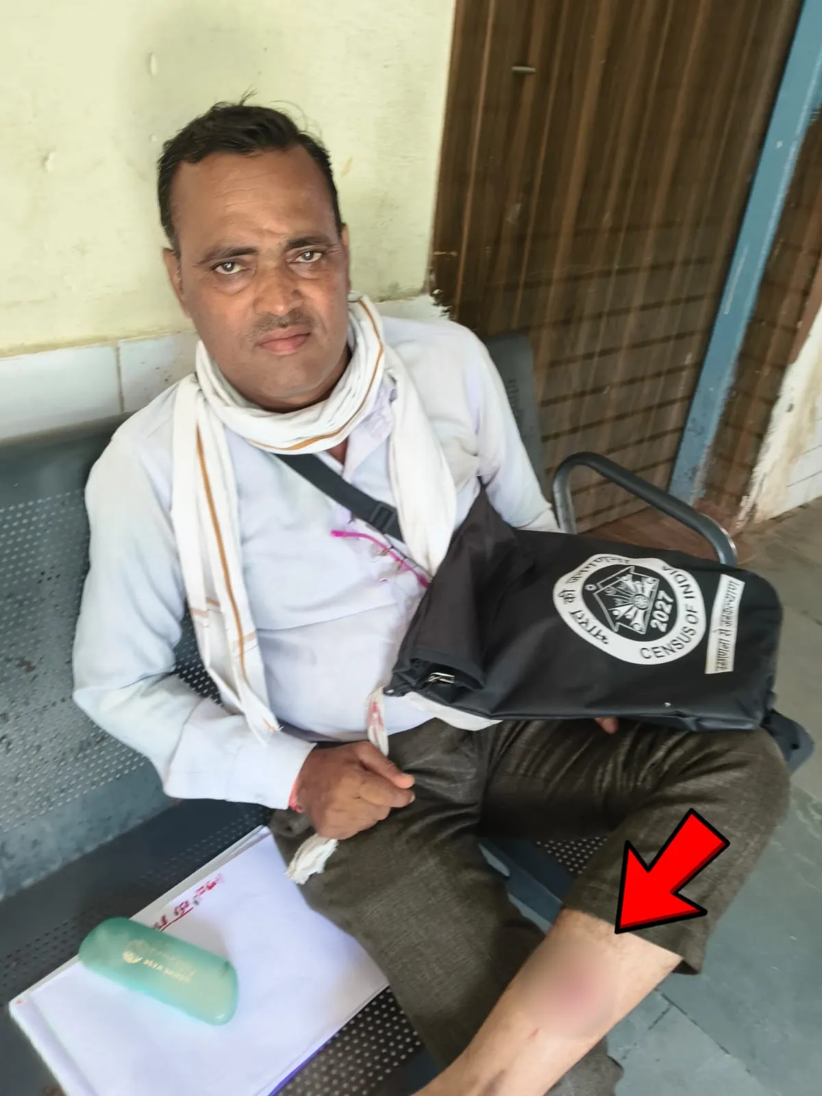 Stray dogs attacked the teacher.