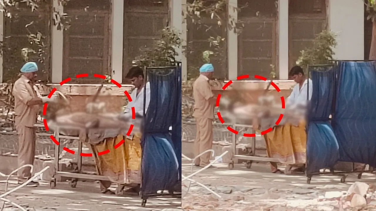 The body was dissected in the open in front of the mortuary in Hamidia Hospital.