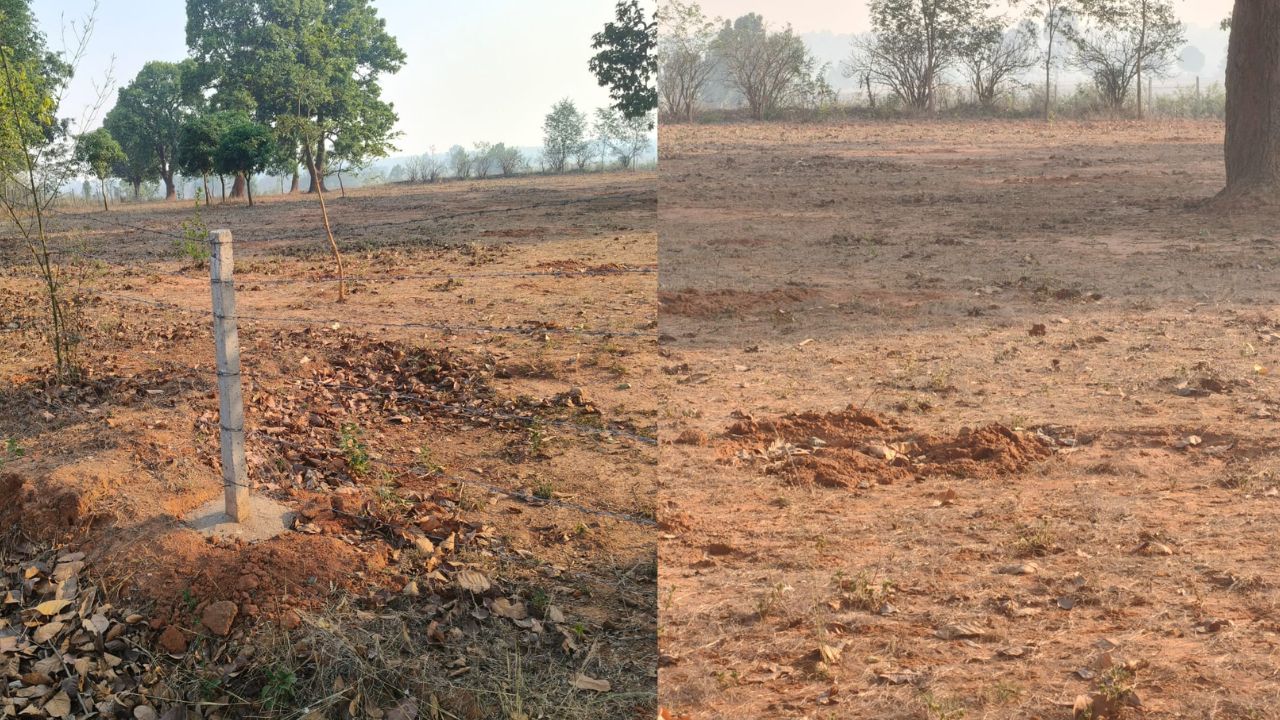Balrampur Tree Plantation Corruption Worth Lakhs of Rupees