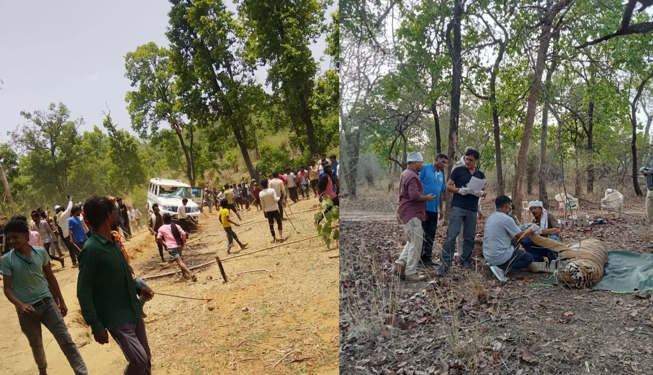 bandhavgarh tiger reserve