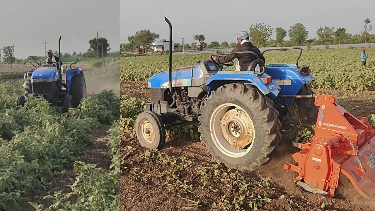 Barwani farmer ran tractor over his 4 bigha brinjal crop distressed by not receiving fair price