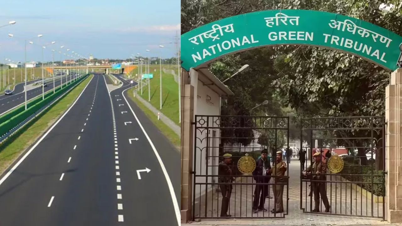bhopal ayodhya bypass 10 lane project ngt approval 80 thousand tree plantation