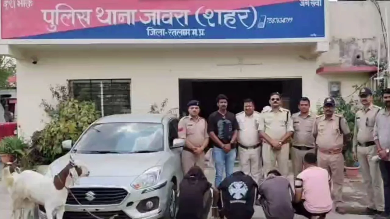 ratlam jaora Goats Worth 6 rupees Lakh Stolen