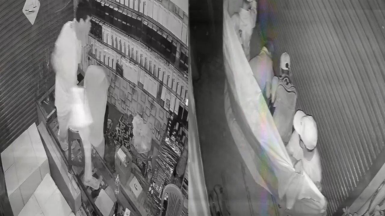 katni crime news thieves stole 50 mobile phones from shop