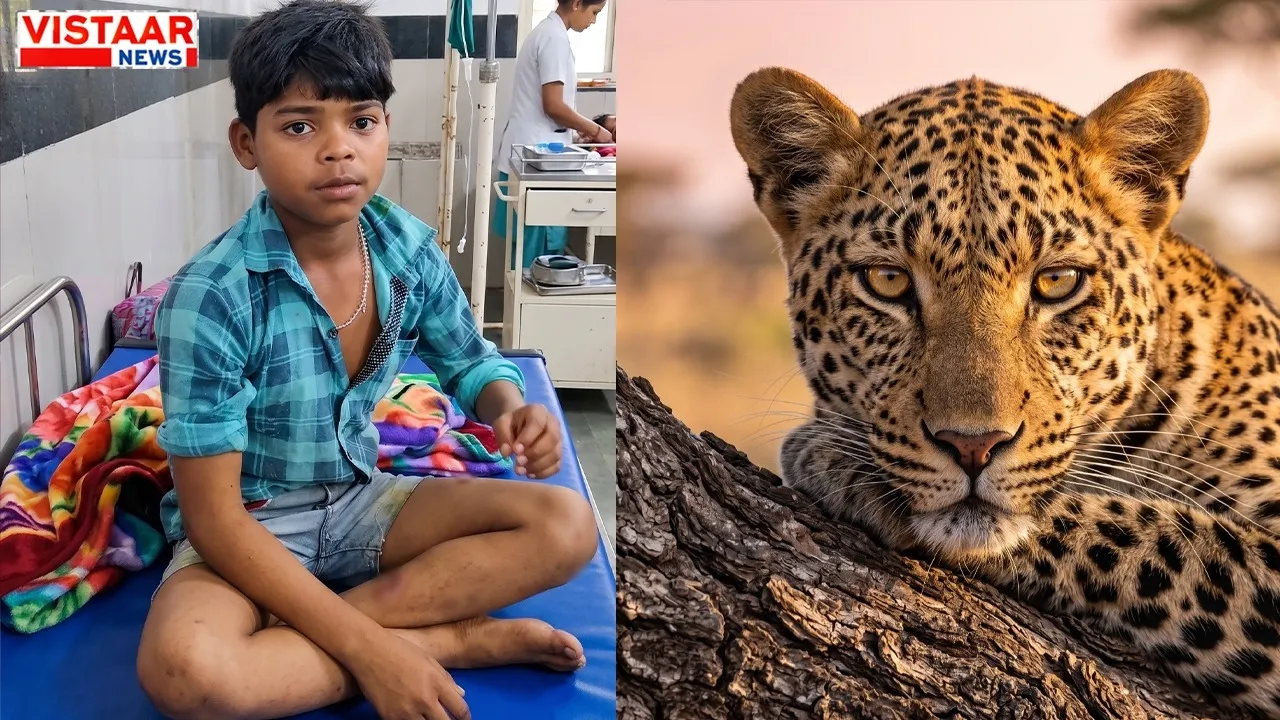 narmadapuram child courage defeat leopard piparia