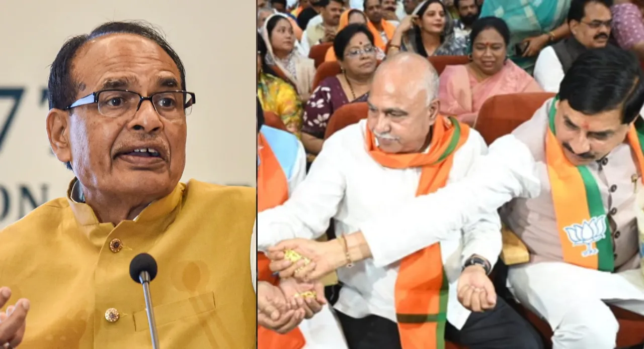 mp politics