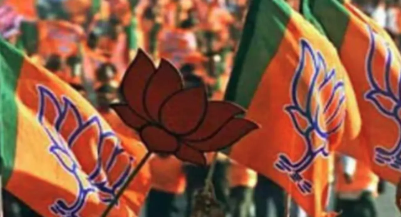 mp rajya sabha elections