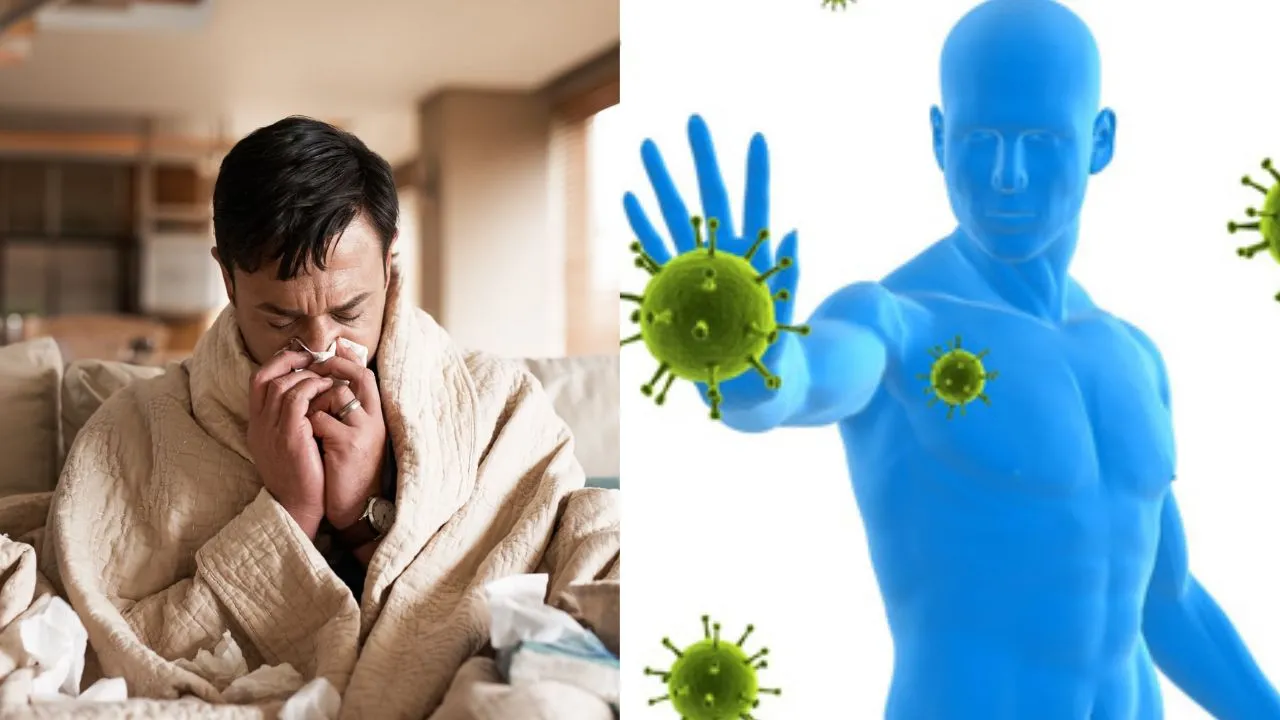 sick frequently unhealthy lifestyle weak immunity big cause