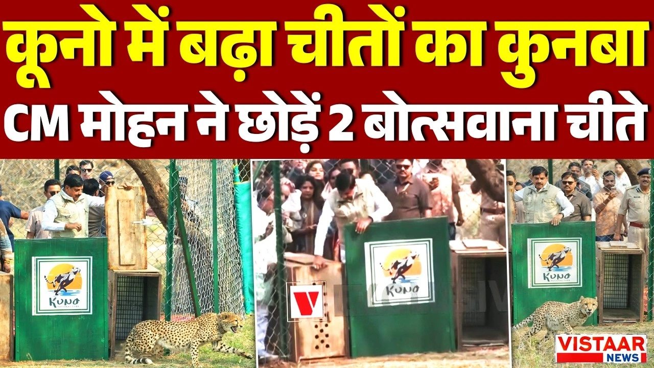 Vistaar News