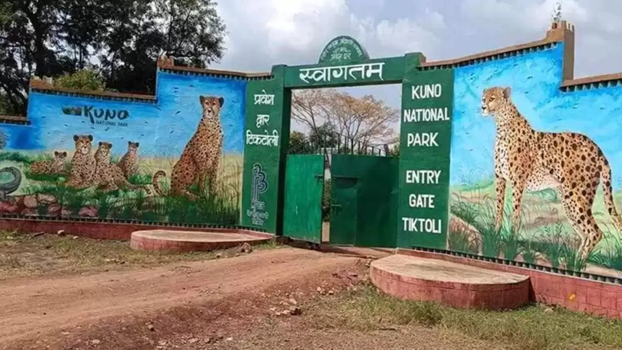 Kuno National park
