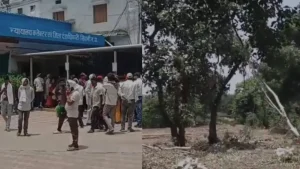 seoni eucalyptus trees illegal cutting case villagers submitted memorandum to Collector